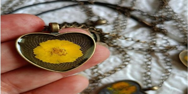 AffinityHeartcollection